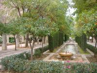 Palma Februar 07 (1) 